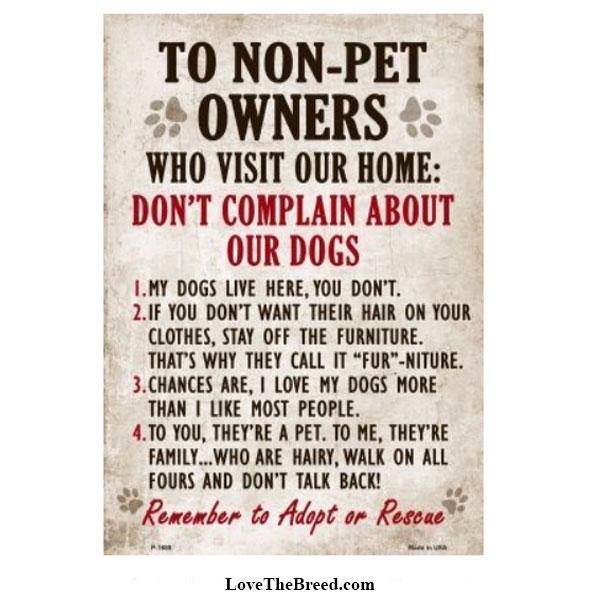 Non Pet Owner Rules DOGS Sign