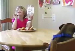 Watch what this little girl’s dachshund does to save her lunch