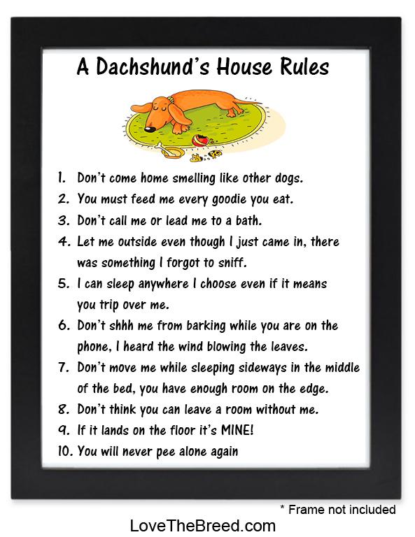 Dachshund Sign - A Dachshund's House Rules Print