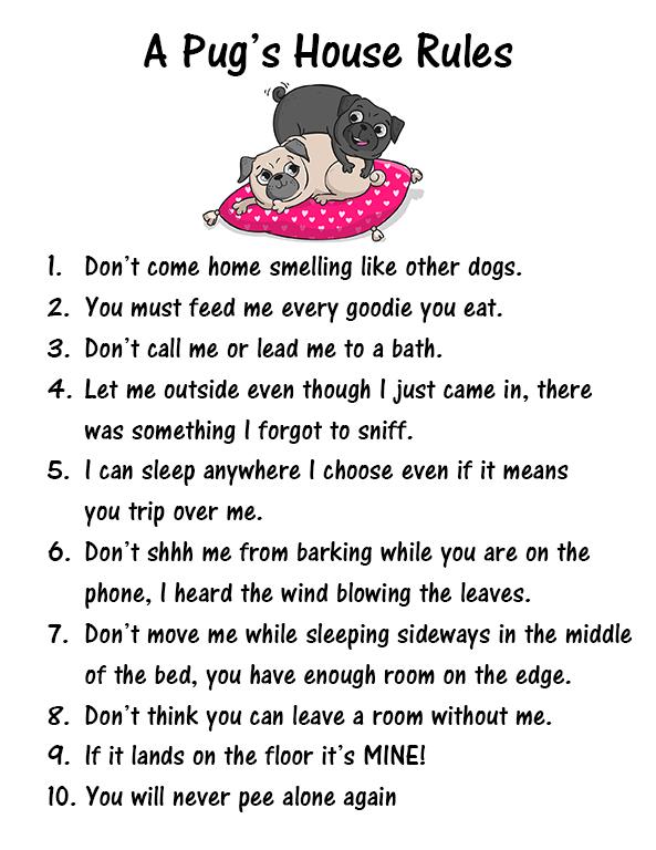 LoveTheBreed.com print Pug Sign - A Pug's House Rules Print