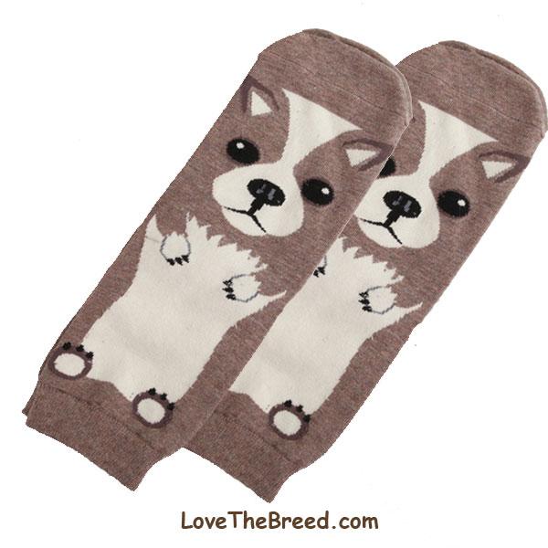 LoveTheBreed.com Socks Chihuahau Socks Body