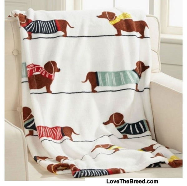 I Love Dachshunds Shop Blanket Plush Blanket Dachshunds in Sweaters