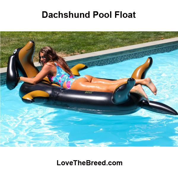 Dachshund Pool Float