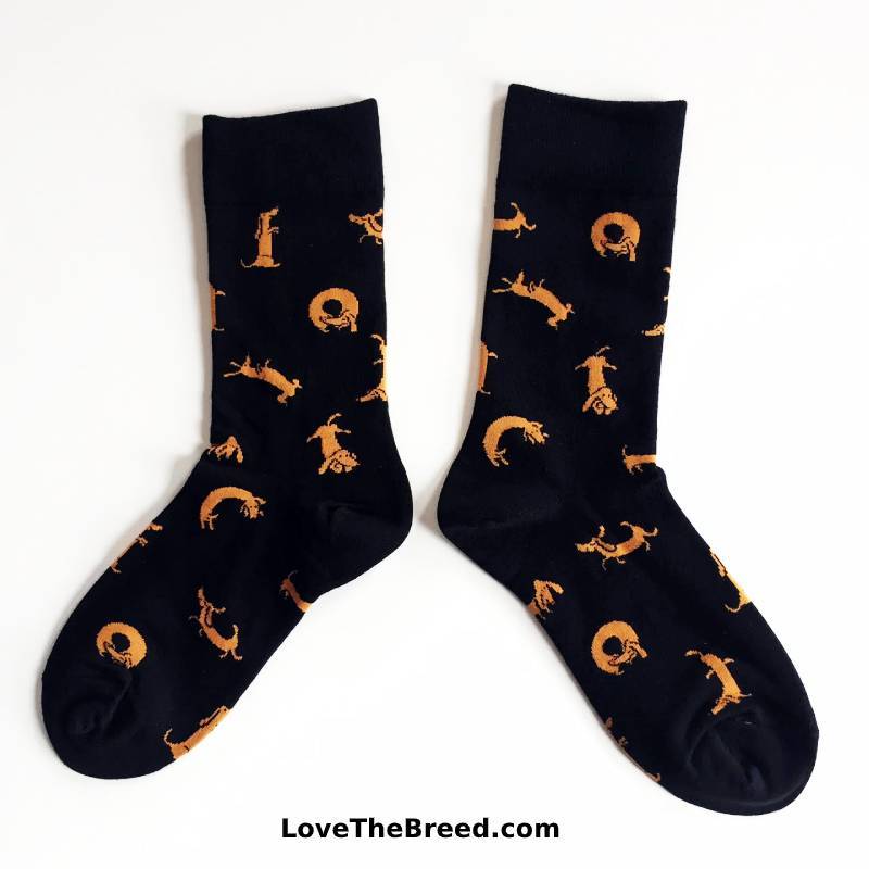 LoveTheBreed.com Socks Black Dachshunds Socks Everywhere LIMITED EDITION