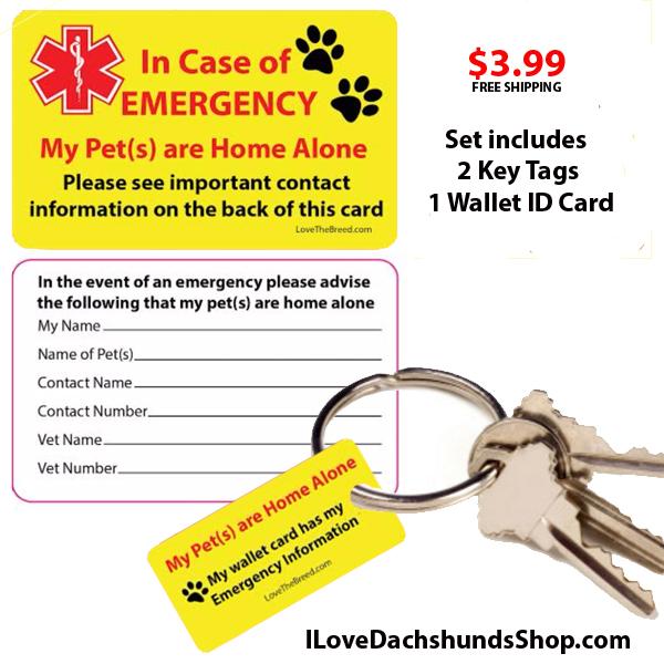 Emergency Pet Care Key Tag and ID Card Set FREE SHIPPING