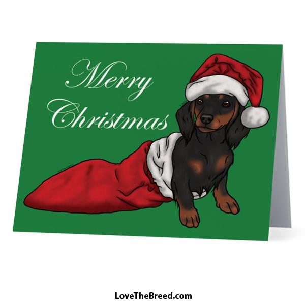 LoveTheBreed.com Cards Black and Tan Long Hair / Single Card Merry Christmas Dachshund Black and Tan Card - with Envelope
