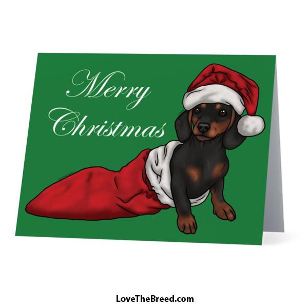 LoveTheBreed.com Cards Black and Tan Short Hair / Single Card Merry Christmas Dachshund Black and Tan Card - with Envelope