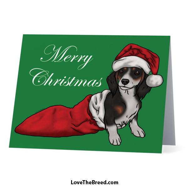 LoveTheBreed.com Cards Piebald Long Hair / Single Card Merry Christmas Dachshund Piebald Card - with Envelope