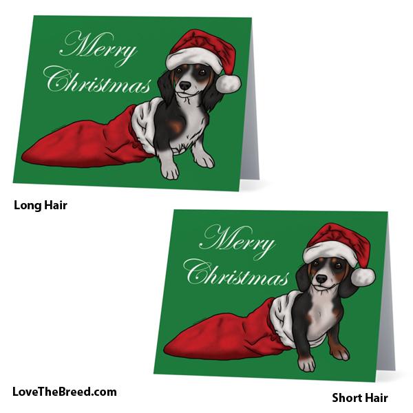 Merry Christmas Dachshund Piebald Card - with Envelope