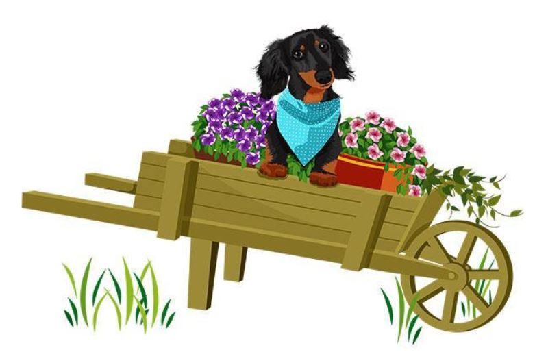 Dachshund Black and Tan in Wheelbarrow Extra Large Tote