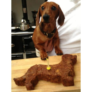 Dachshund cake mold outlet