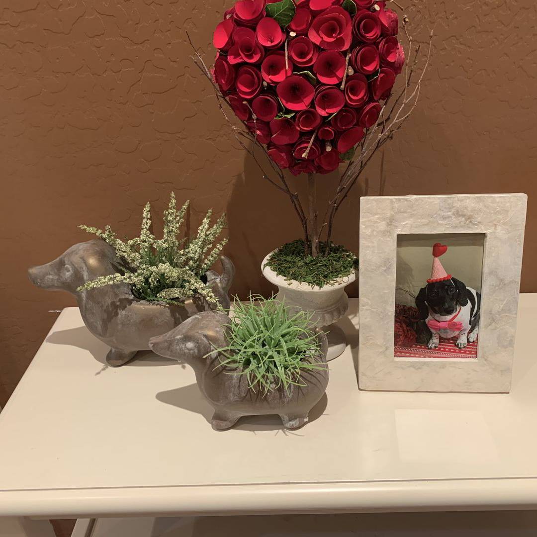 Sullivans planter SAVE $4 get Both Sizes Dachshund Terracotta Planters 2 sizes - PRE-ORDER