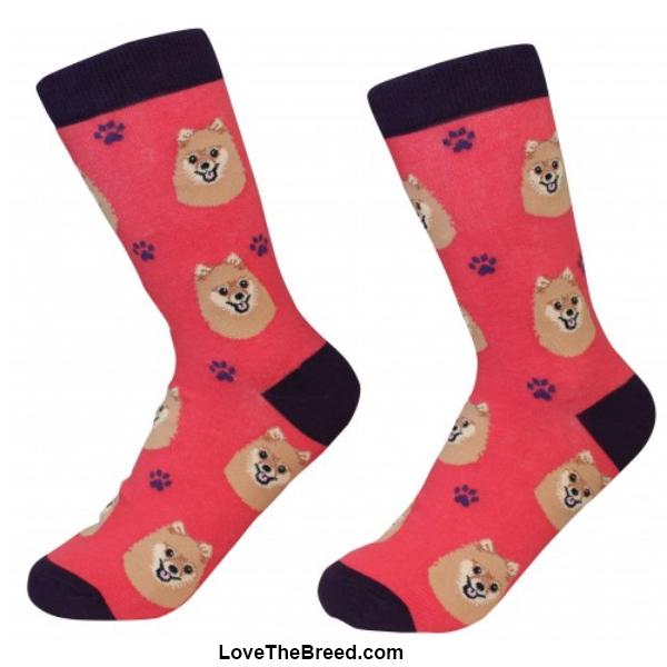 Pomeranian Socks