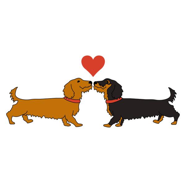 Dachshund Long on Love Shirts Wirehaired